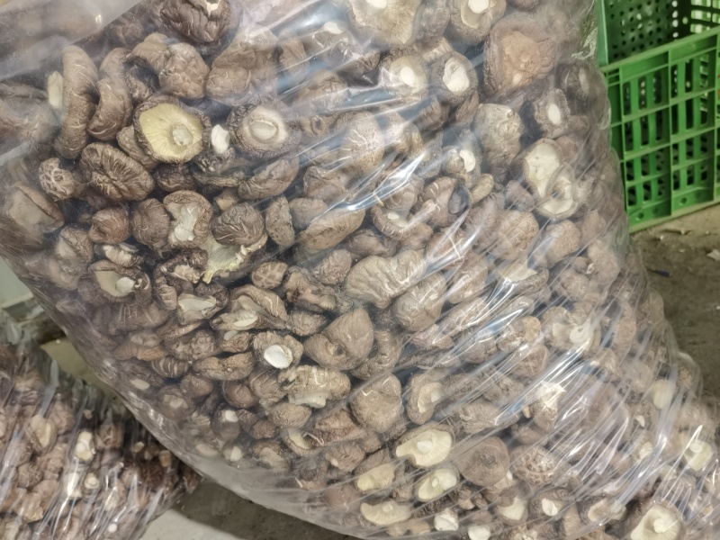 干香菇