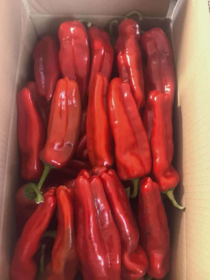 红泡椒
