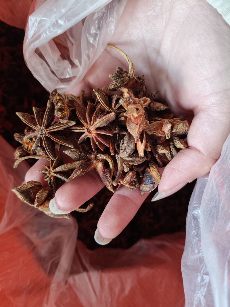 批发大红八角/干支八角/香味浓郁一手货源专业对接电商