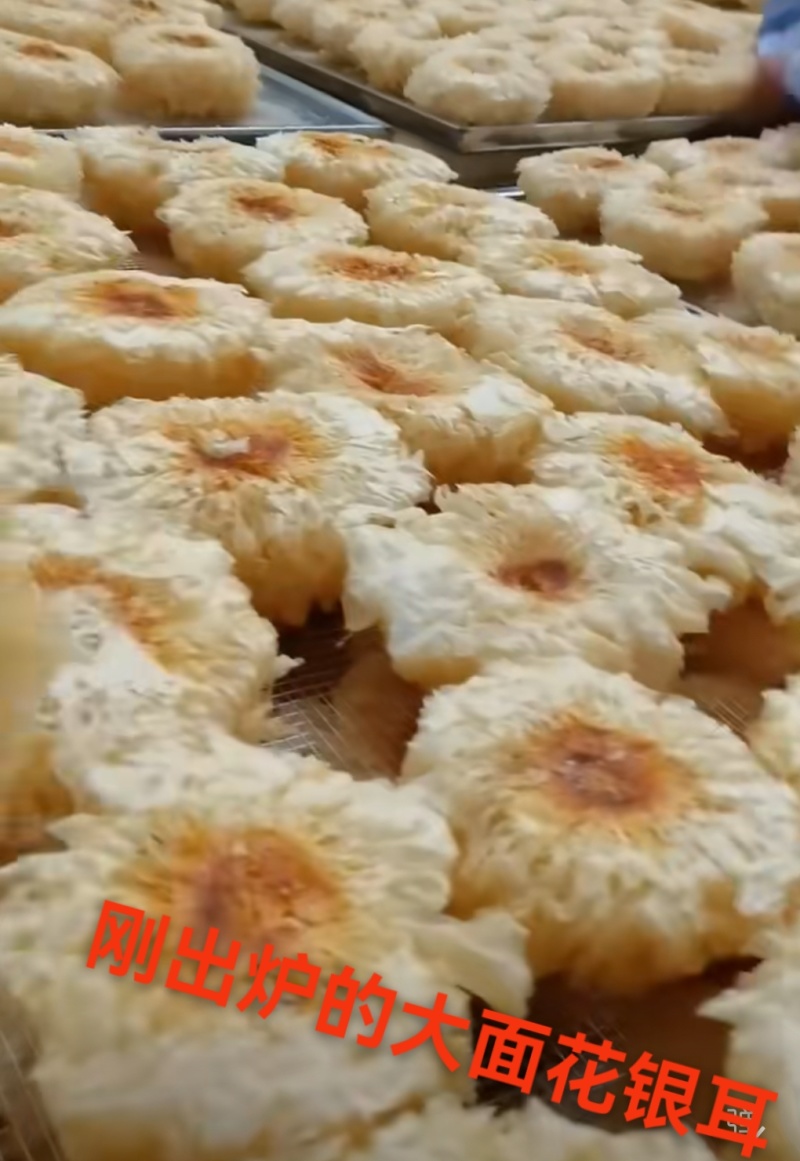 福建古田食用菌