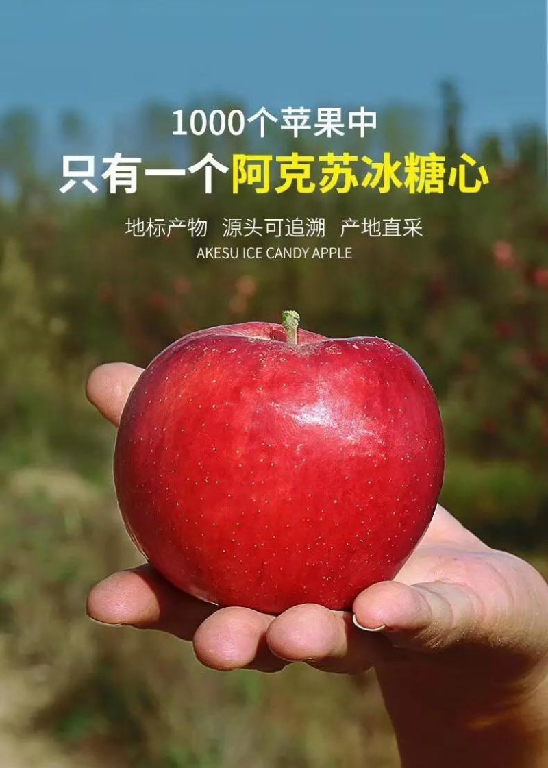 新疆阿克苏苹果一件代发，厂家直销