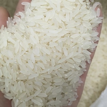 鸡东大米自己家