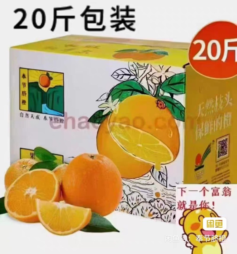 重庆奉节脐橙