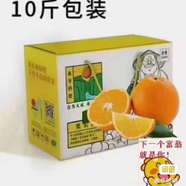 重庆奉节脐橙