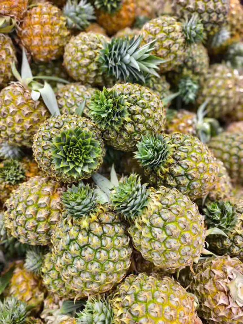 海南金钻凤梨芒果凤梨批发供应链