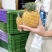 海南金钻凤梨芒果凤梨批发供应链