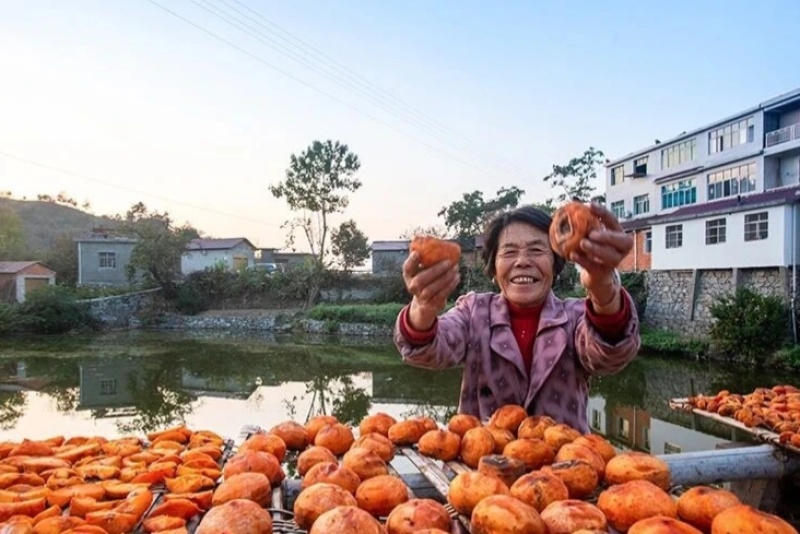 自然挂霜老柿饼