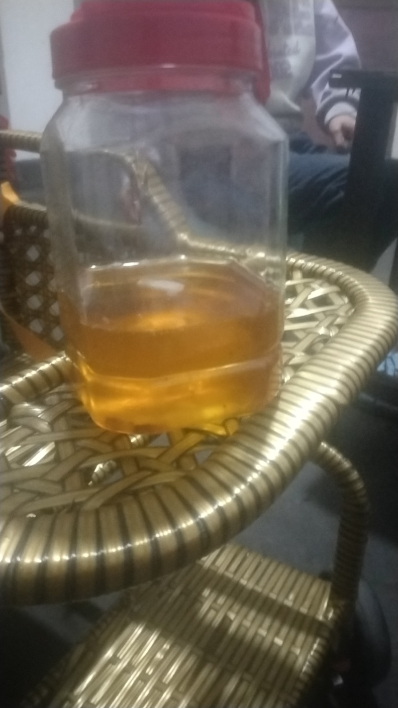 野生小籽山茶油