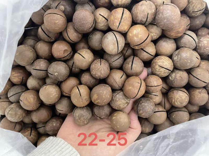 旺季爆品夏威夷果好货电商一件代发，可定制，批发有量有价