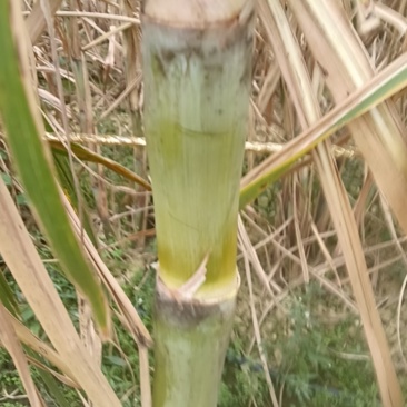 广西南宁