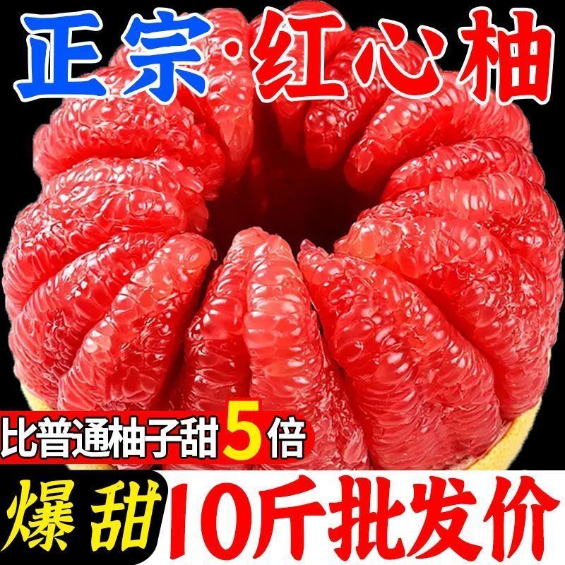 湖南醴陵红心柚