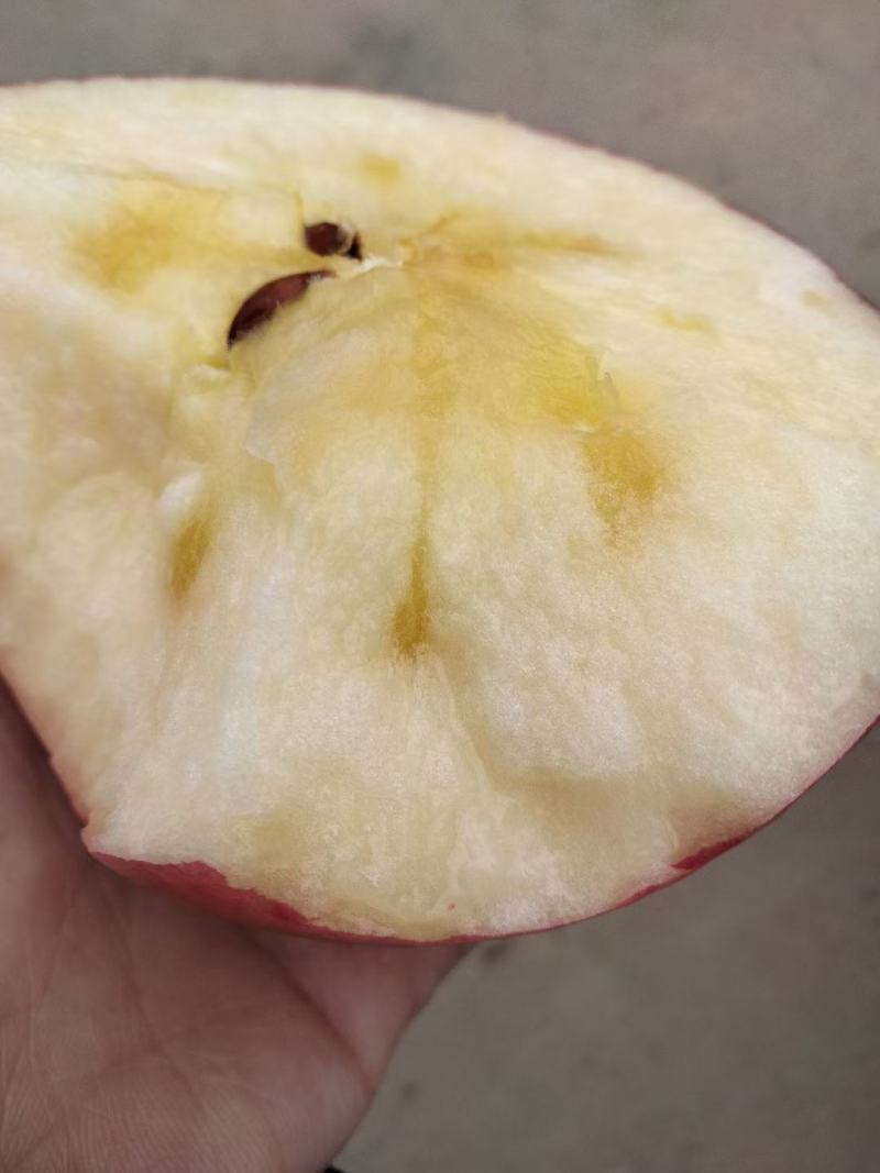 洛川苹果
