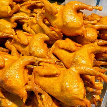 阿生白斩鸡（老母鸡10个每个1㎏）