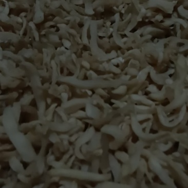 萝卜丁