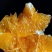 奉节橙子，纽花，福本，72-1