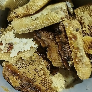 福宝天堂坝元始森林一年一采的百花蜂蜜