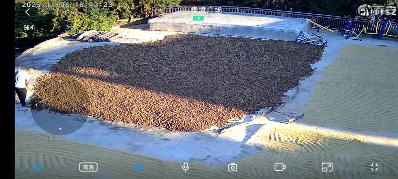 自家的山茶油