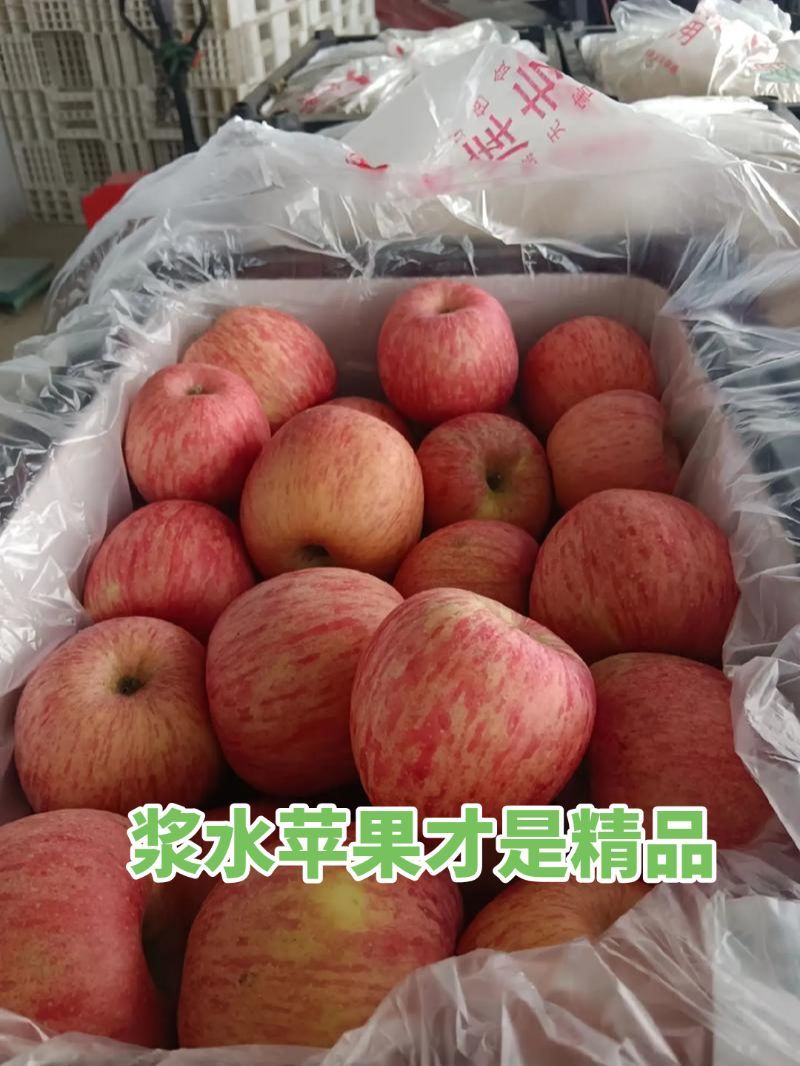 河北浆水苹果
