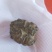 羊宝也是羊结石有要的老板连系我电话***********