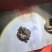 羊宝也是羊结石有要的老板连系我电话***********