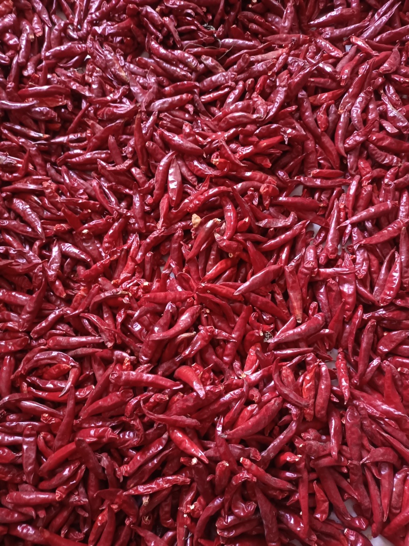 三樱椒