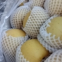 黄金维纳斯上面一层大果下面有中果部分。有股清香味。