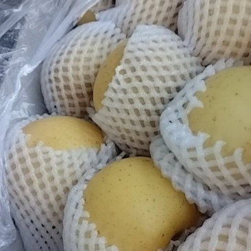 黄金维纳斯上面一层大果下面有中果部分。有股清香味。