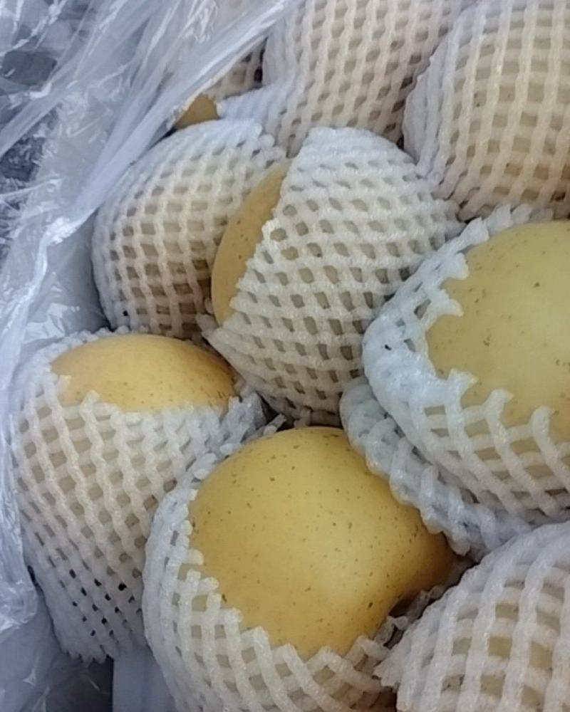 黄金维纳斯上面一层大果下面有中果部分。有股清香味。
