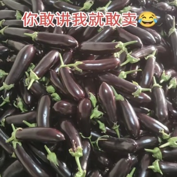 有需要茄子🍆🍆的联系我