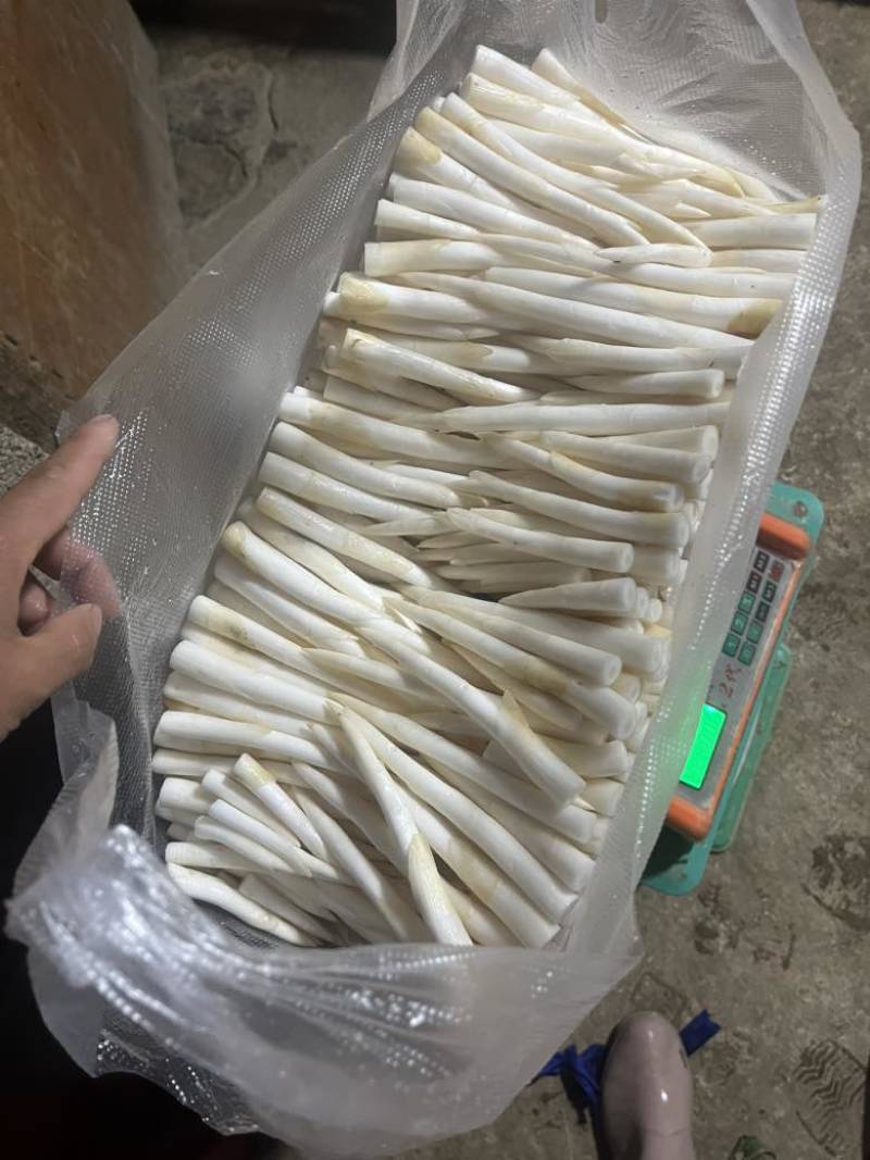 象牙菜