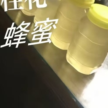 农家土蜂蜜