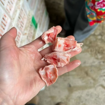 鸡脚筋各种规定全，价位便宜，全国冷链发货