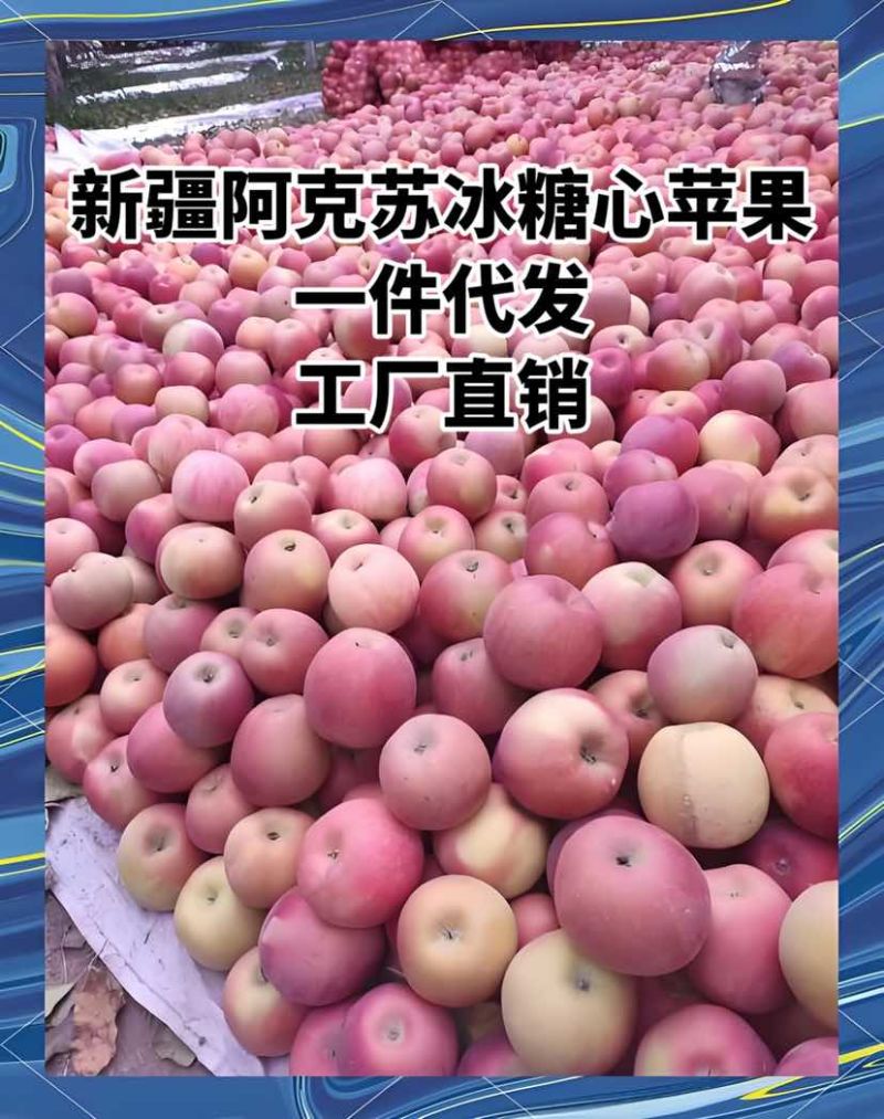 新疆阿克苏冰糖心苹果，一件代发，工厂直销