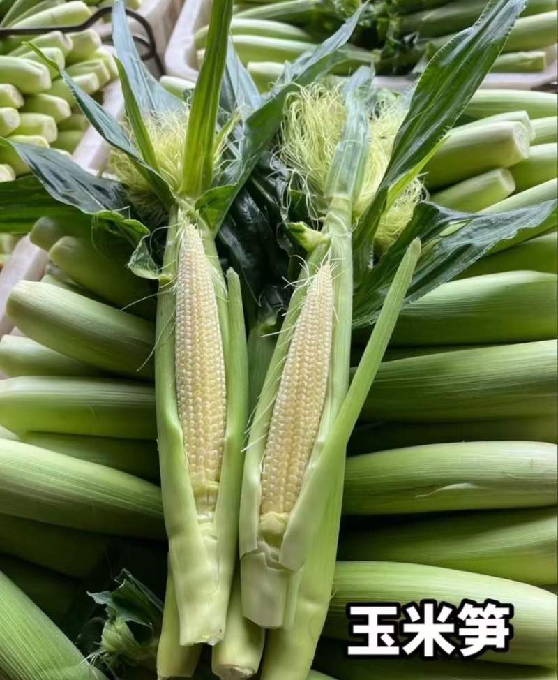 广东湛江徐闻水果玉米笋