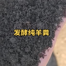发酵纯羊粪