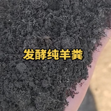 发酵纯羊粪