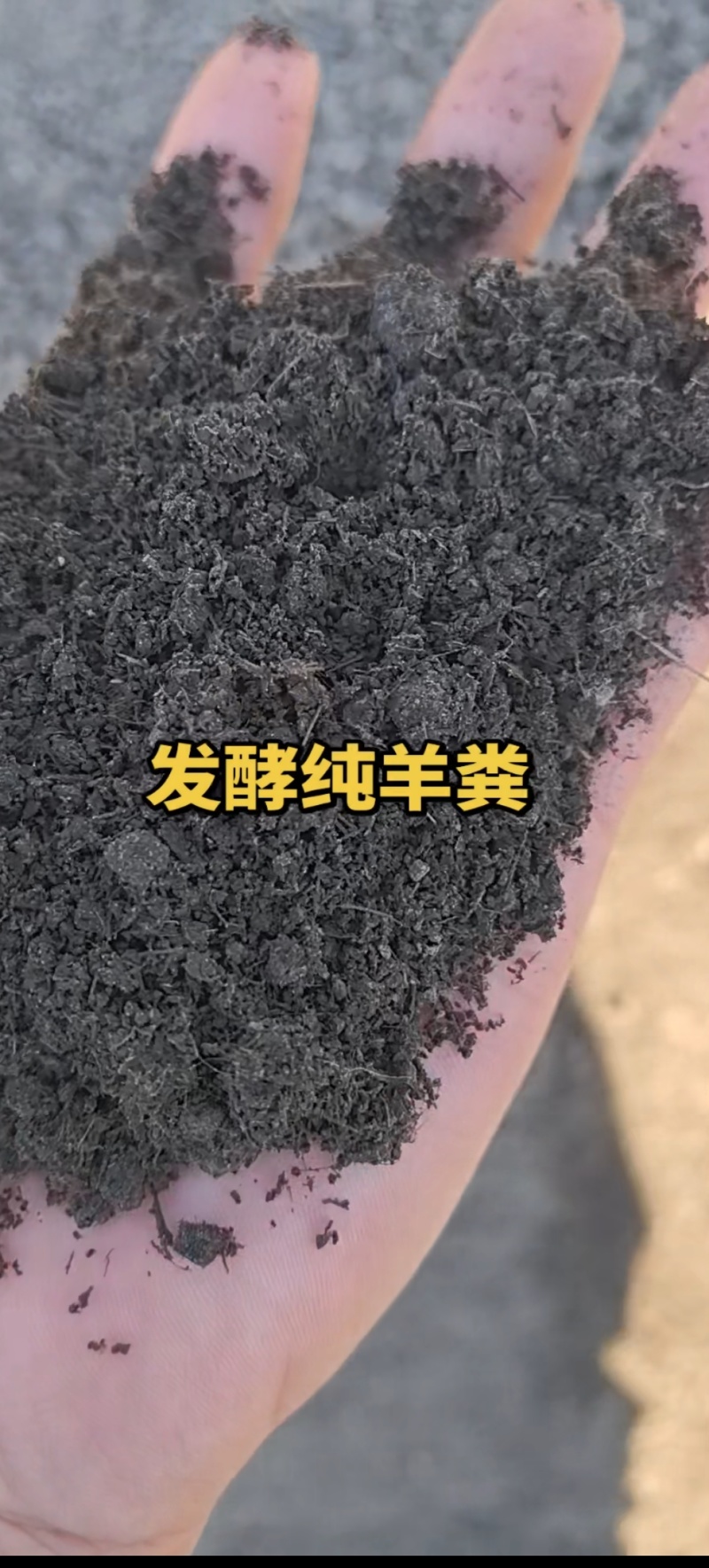 发酵纯羊粪