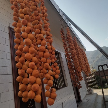 农家柿饼