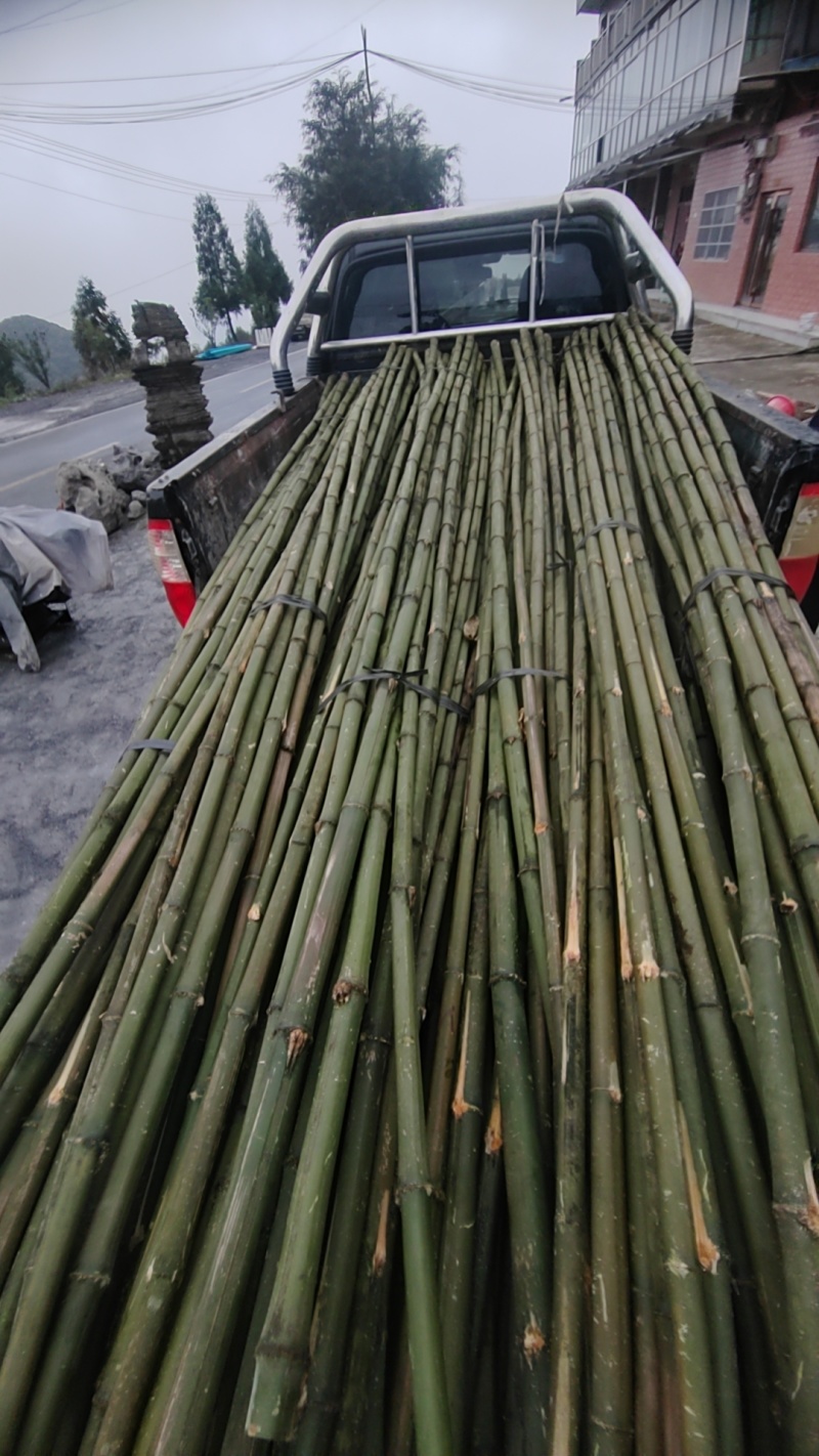 菜架竹、甘蔗竹、果蔬竹，各种品种规格都可以