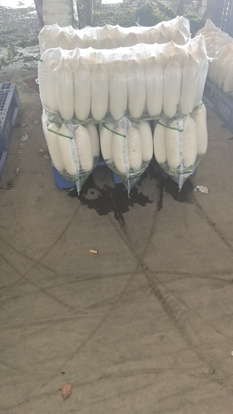 精品小四大四五排大量有货