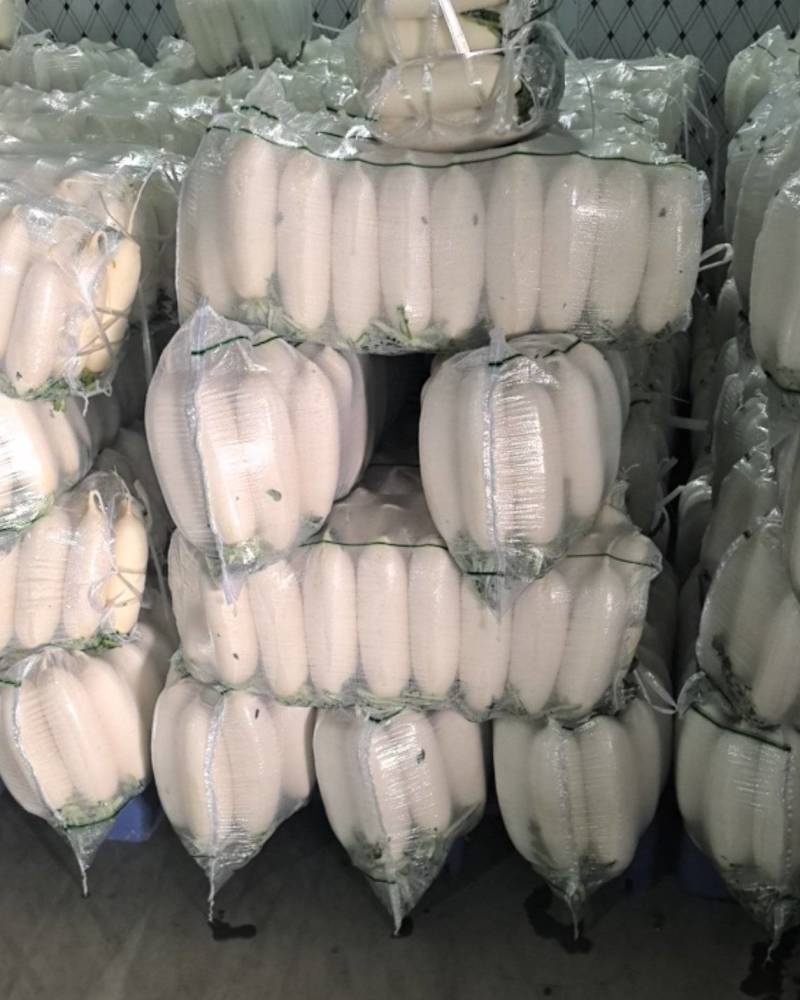 精品小四大四五排大量有货