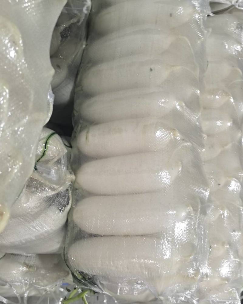 精品小四大四五排大量有货