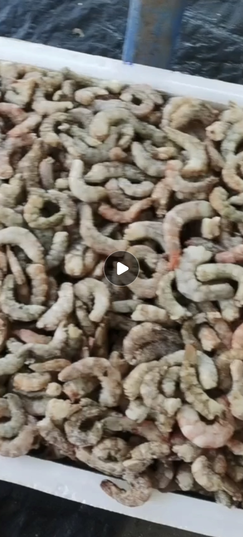 次品虾仁
