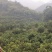 季橙血橙都有
