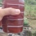 深山土蜂蜜
