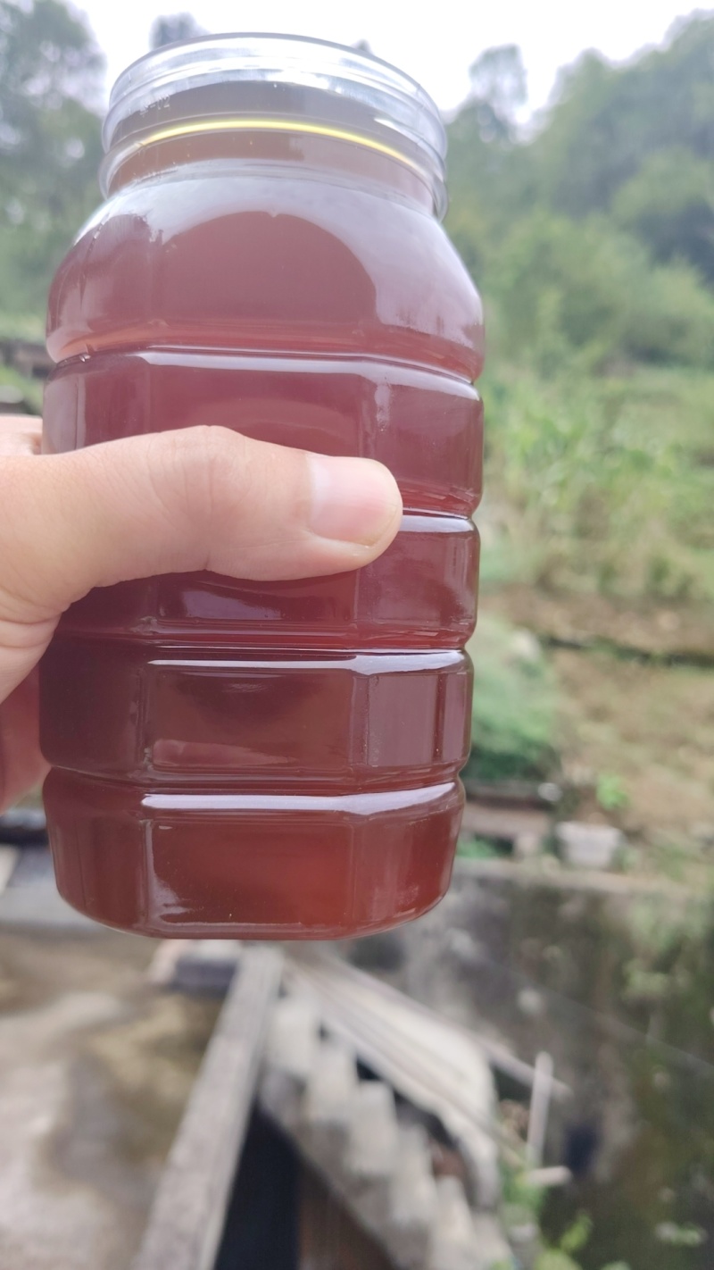 深山土蜂蜜