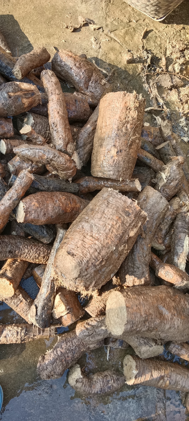 野生葛根粉