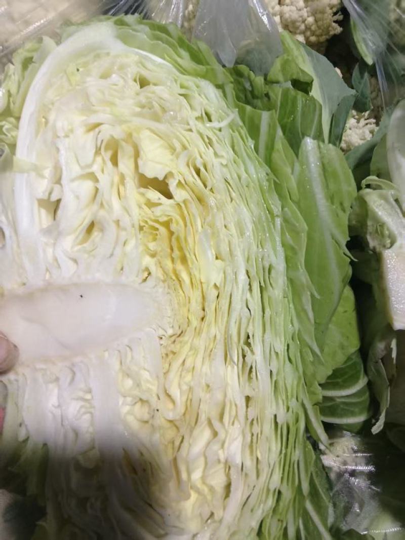 潼南脆白菜