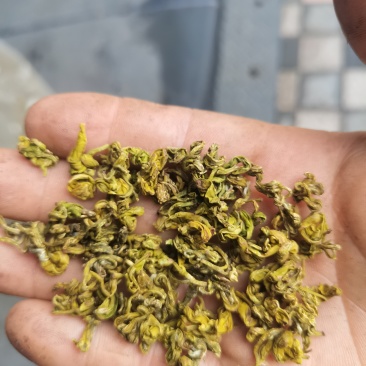 手工黄金芽(茶叶)