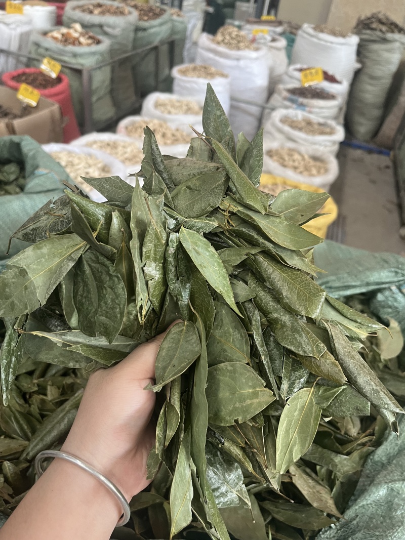 广西产地香叶低价批发量大从优国产香叶特绿